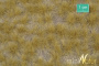MiniNatur: Tuft - Długa późnojesienna trawa 1 (42x15 cm)