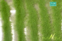 MiniNatur: Tuft - Długa wiosenna trawa w paskach 252 cm