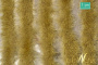 MiniNatur: Tuft - Długa późnojesienna trawa w paskach 252 cm