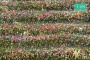 MiniNatur: Tuft - Paski kwitnących kolorowych roślin 336 cm