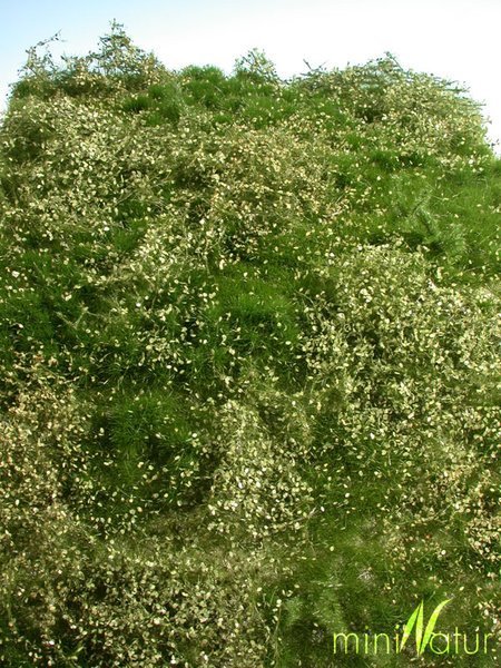 MiniNatur: Letnia dzika łąka (25x15,5 cm)