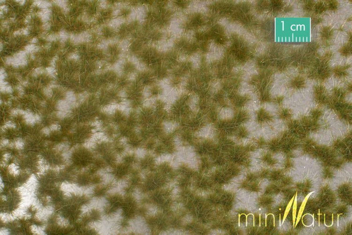 MiniNatur: Dwukolorowe wczesnojesienne tufty (15x8 cm)