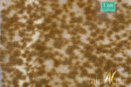 MiniNatur: Dwukolorowe późnojesienne tufty 1 (15x8 cm)