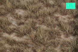 MiniNatur: Dwukolorowe pustynne tufty (15x8 cm)