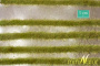 MiniNatur: Dwukolorowe paski wiosennej trawy 336 cm