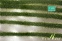 MiniNatur: Dwukolorowe paski letniej trawy 336 cm