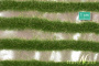 MiniNatur: Dwukolorowe paski letniej trawy 252 cm