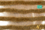 MiniNatur: Dwukolorowe paski późnojesiennej trawy 252 cm