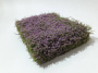 MiniNatur: Kwitnący na fioletowo żywopłot (12x14 cm)