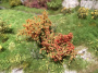 MiniNatur: Kolorowe kwitnące krzewy 3 cm (3 szt)