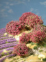 MiniNatur: Małe rododendrony koloru magenta 2 cm (5 szt)