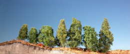 MiniNatur: Filigranowy krzew letni (4-6 szt)