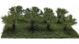 MiniNatur: Wczesnojesienne krzewy z gotowym podłożem 3 cm