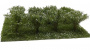 MiniNatur: Kwitnące na biało krzewy z gotowym podłożem 3 cm