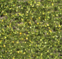 MiniNatur: Wczesnojesienne liście i gałęzie brzozy (15x4 cm)