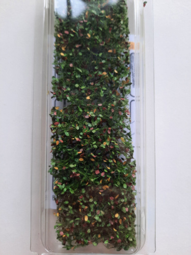MiniNatur: Wczesnojesienne liście i gałęzie buku (15x4 cm)