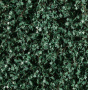 MiniNatur: Letni bluszcz (15x4 cm)