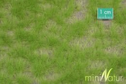 MiniNatur: Tuft - Długa wiosenna trawa 12 mm (42x15 cm)
