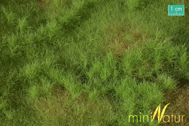 MiniNatur: Wiosenna żyzna łąka (30x50 cm)