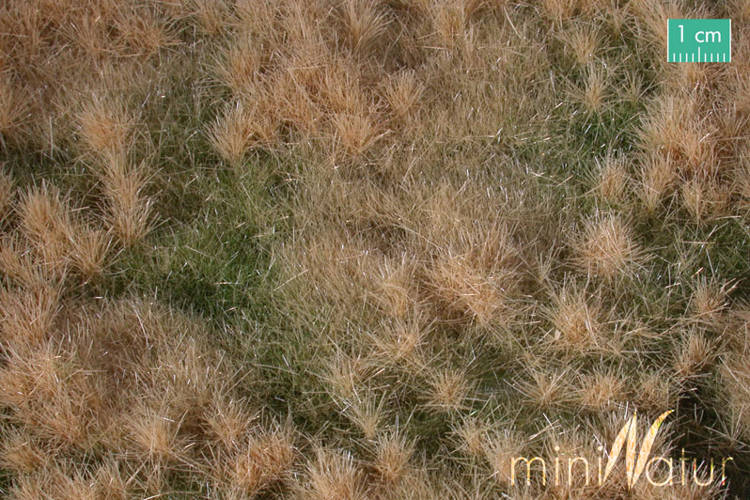 MiniNatur: Późnojesienna żyzna łąka (30x50 cm)