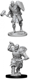 Dungeons & Dragons: Nolzur's Marvelous Miniatures - Goliath Fighter