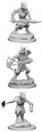 Dungeons & Dragons: Nolzur's Marvelous Miniatures - Kobolds