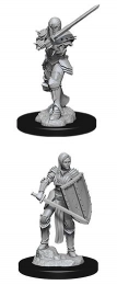 Dungeons & Dragons: Nolzur's Marvelous Miniatures - Human Fighter