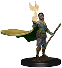 Dungeons & Dragons: Nolzur's Marvelous Premium Miniatures - Female Elf Druid